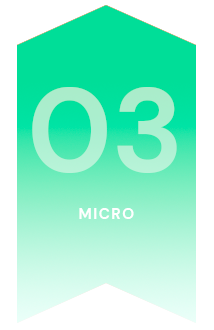 micro